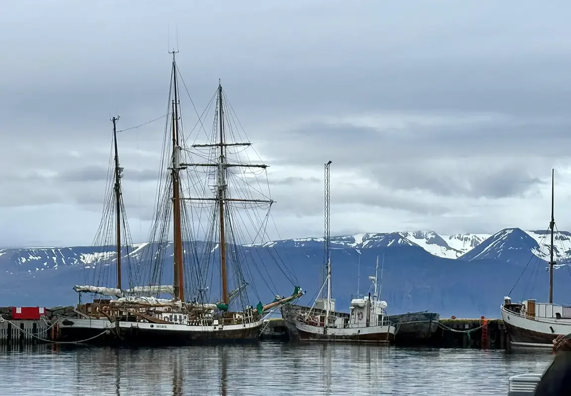 Iceland_Fishing villages pepper the Icelandic coasts_Feb 2026.webp