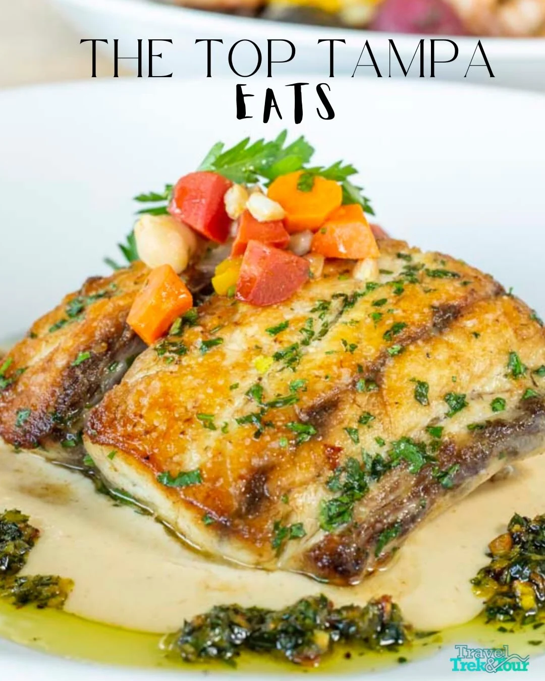 Did you know that Tampa has one of the most exciting food scenes in the Southeastern United States? 🥙

These 3 restaurants prove just that. 

We have a full list and more on Tampa for you at the link in our bio! ⬆️

#tampa #tampafood #tampafoodie #t