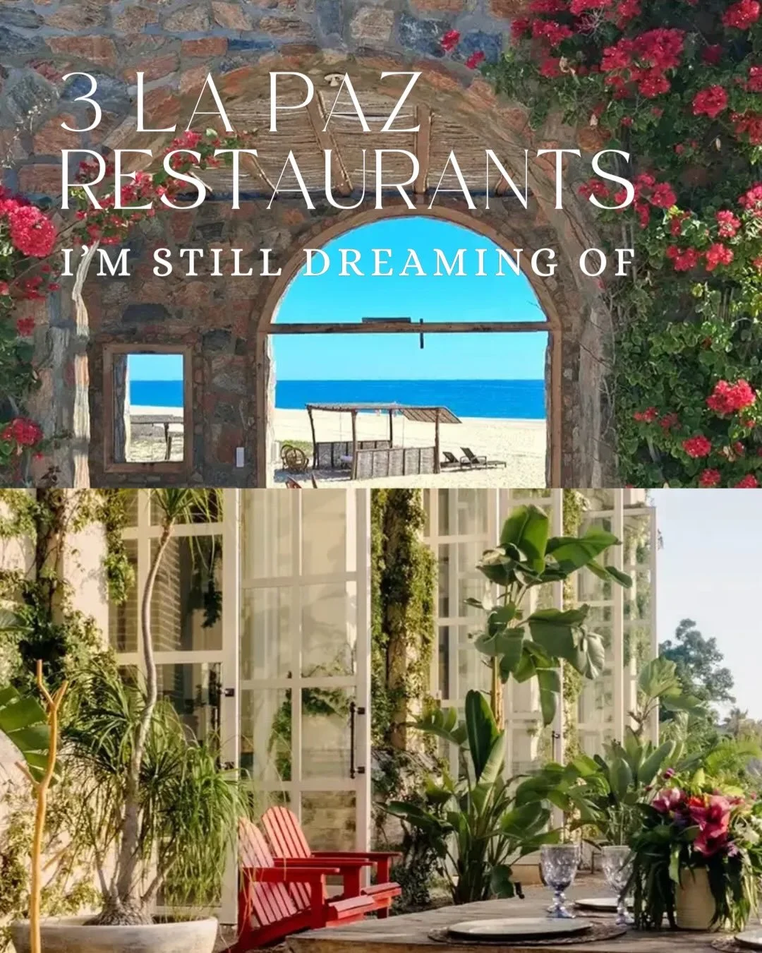 Did you know that La Paz is a culinary paradise? 🦪

Save these spots for your next trip. 

#lapazmexico #visitlapaz #mexicotravel #visitm&eacute;xico #lapaz