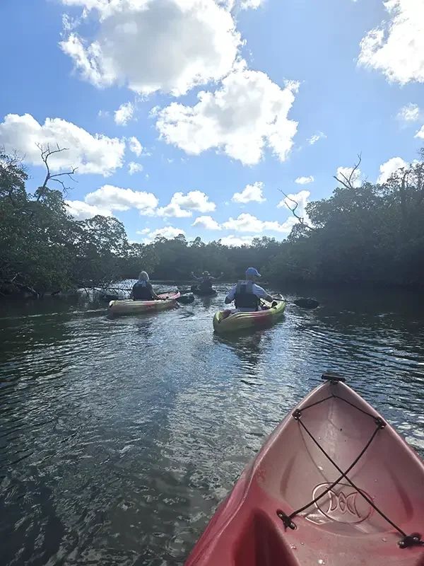 Naples_Florida_Mangrove Tunnels and Mudflats Kayak Tour with Rising Tide Explorers_Nov 2025.webp