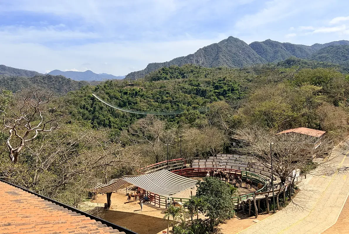Puerto Vallarta & Nayarit Travel Guide_Horses_AnaliseSaavedra_image6.webp
