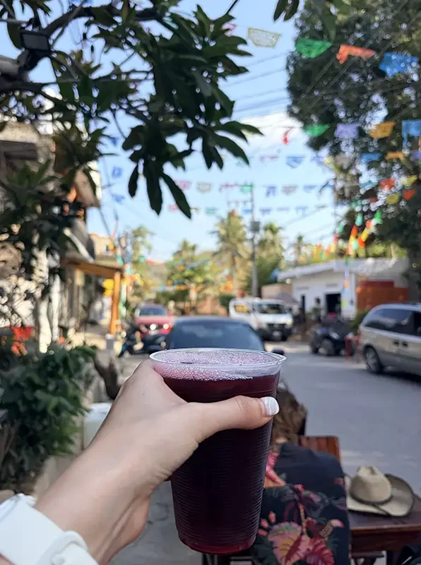 Puerto Vallarta & Nayarit Travel Guide_Jamaica_AnaliseSaavedra_Image15.webp