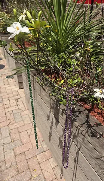 Alabama_Carnival beads_k temple.webp