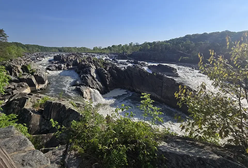 Virginia_Great Falls Park_3_May 2026.webp