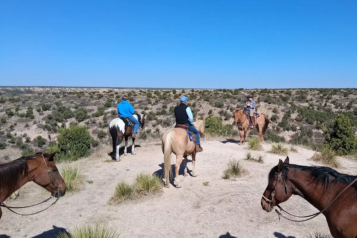 Texas_Amarillo_Los Cedros Ranch_3_July 2026.webp