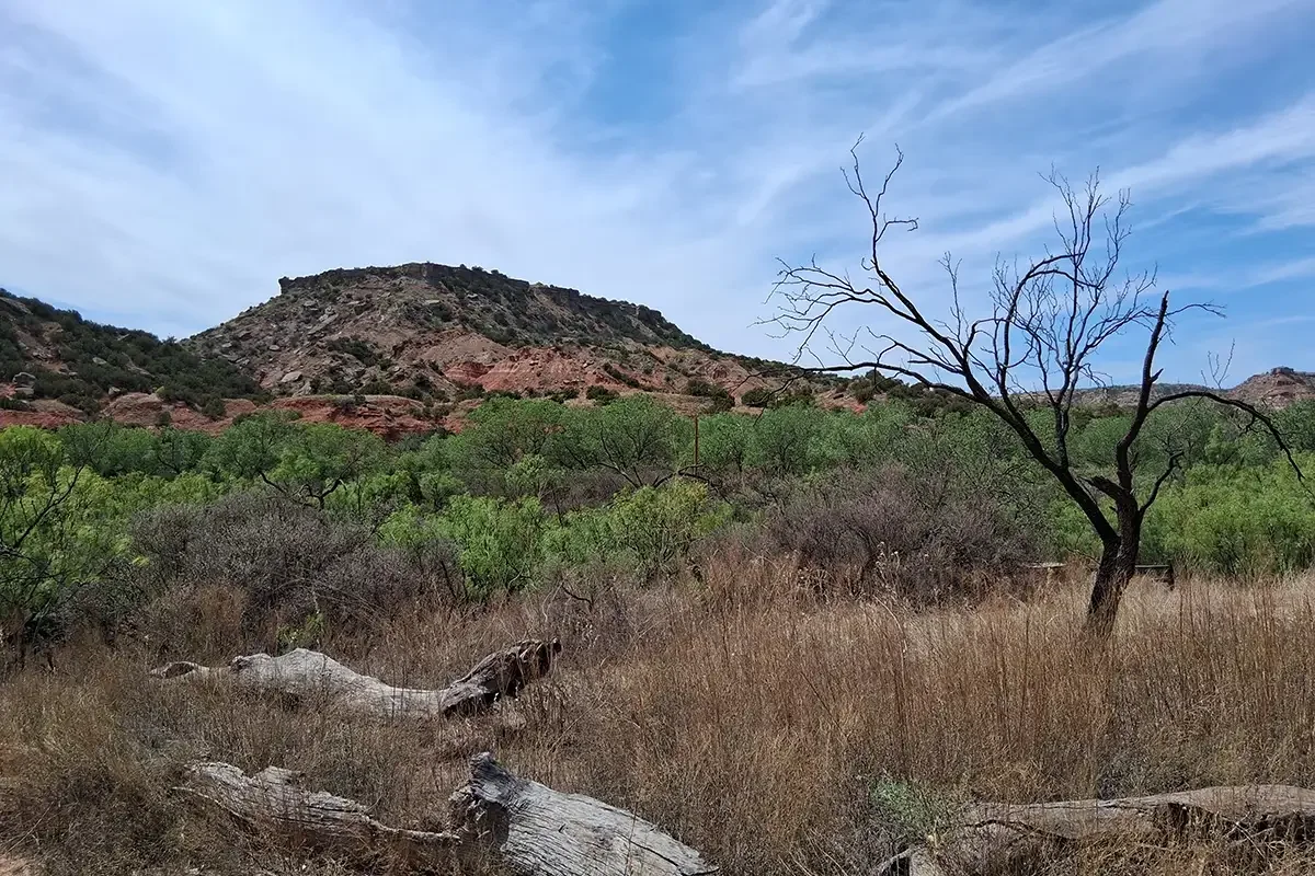 Texas_Amarillo_State Park view_July 2026.webp