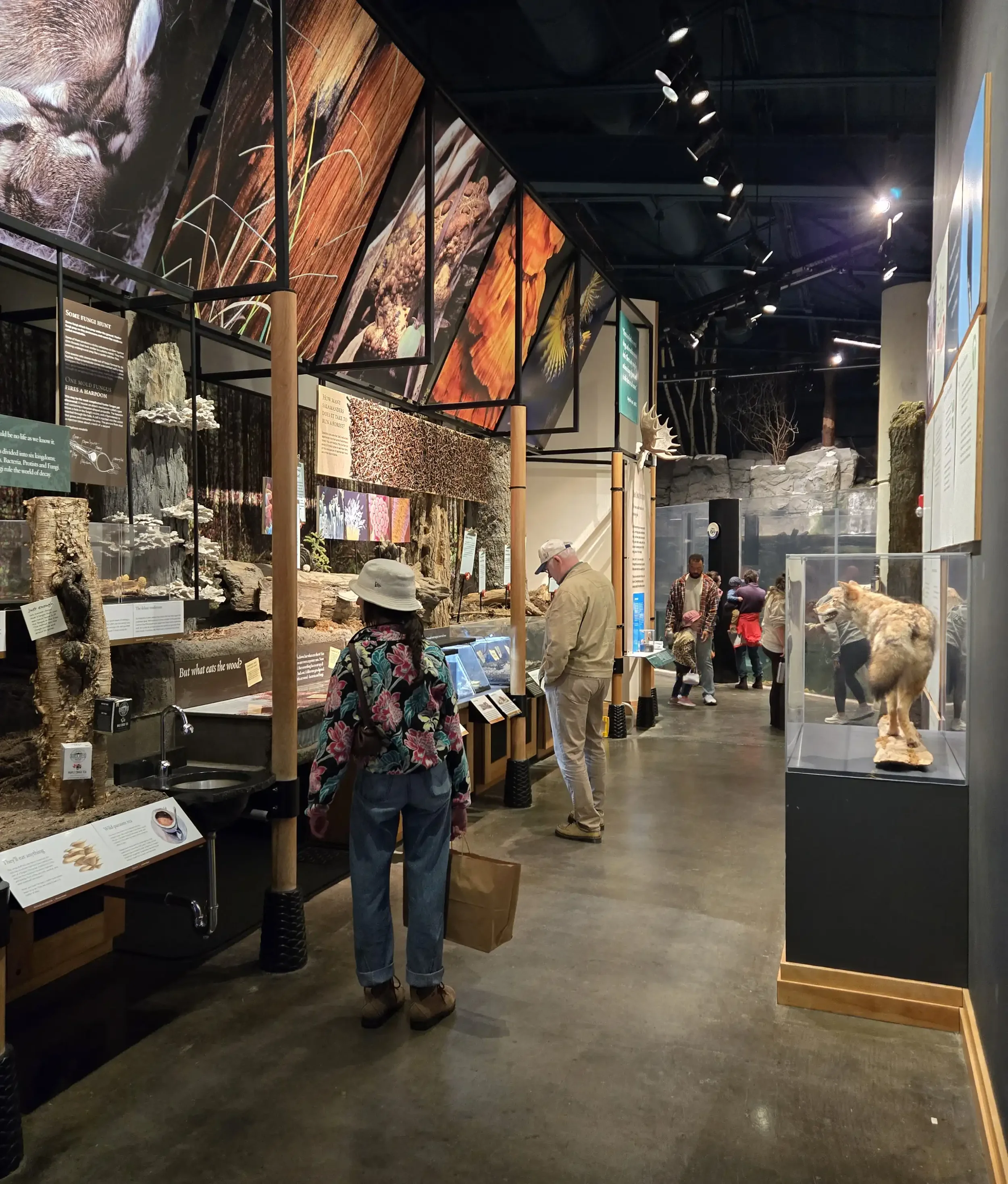 Tupper Lake_The Wild Centre_inside_August 2026.webp