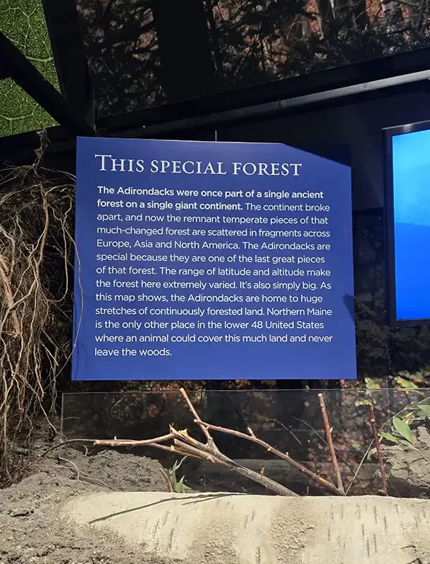Tupper Lake_The Wild Centre_forest sign_August 2026.webp
