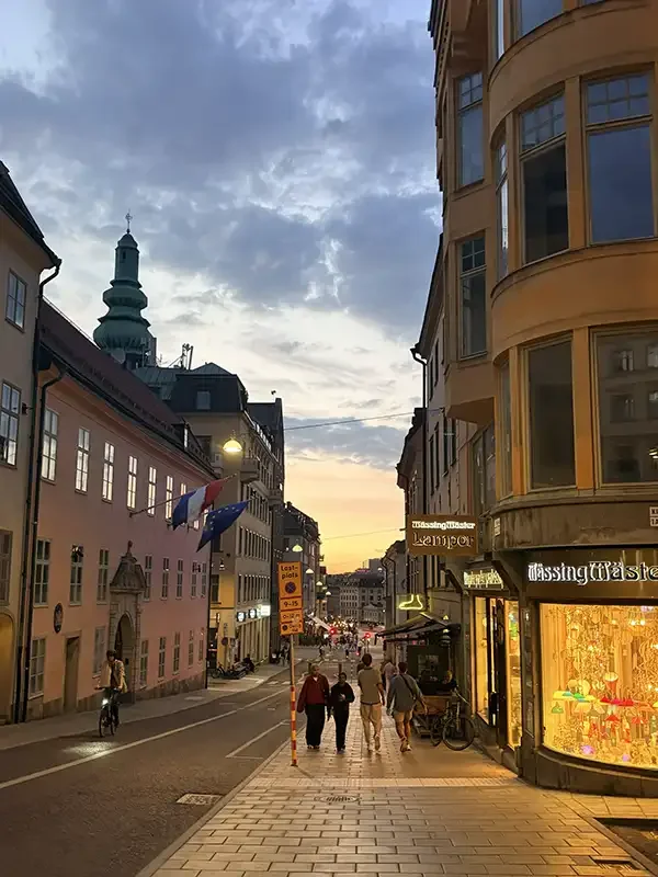 3 Days in Stockholm_Image11_SodermalmDuringSunset_AnaliseSaavedra.webp
