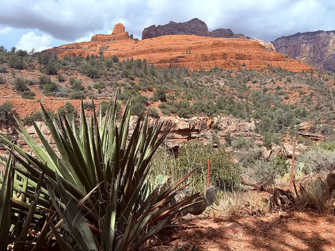 Arizona_Image2_Sedona_AnaliseSaavedra.webp