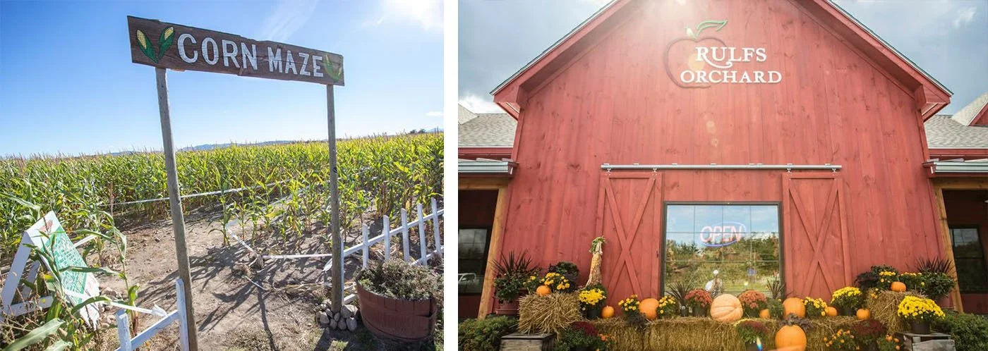 Rulfs orchard in Plattsburgh is the perfect fall visit.