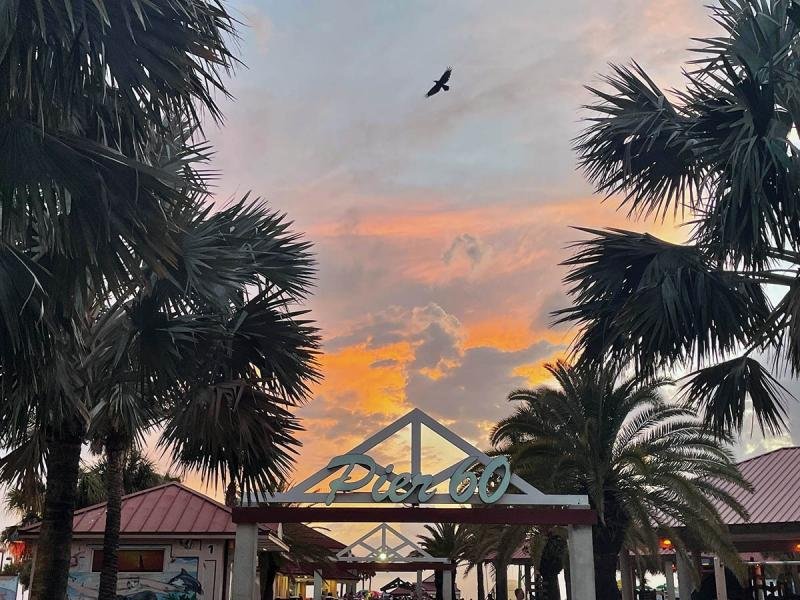 A bird flies over a bright orange sunset surrounded by palm tree above Pier 60.