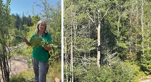 A guide in a green shirt gives tours of the Okwari Le Fjord.