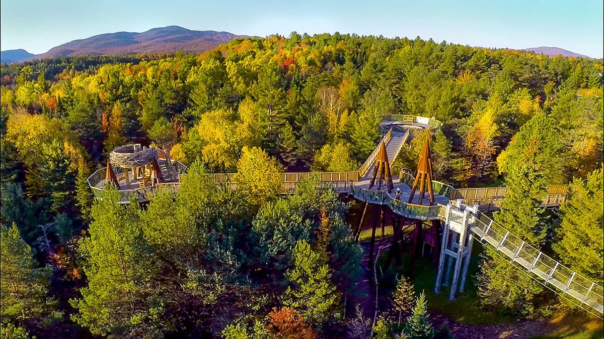 One of the best spots to view the colours of fall in the Adirondacks is on Wild Walk at The Wild Center.