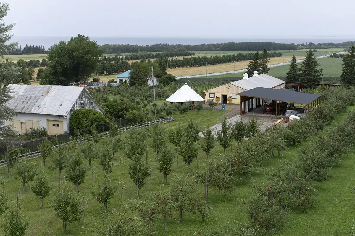 Api-Pomme orchard on the shores of Quebec's Lac St-Jean