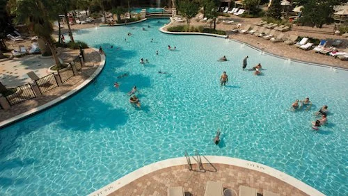 A group of people swim in a pool at Hyatt Regency Orlando.