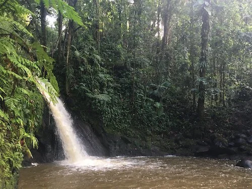 A waterfall crashes into a pond near Route de la Traversee.