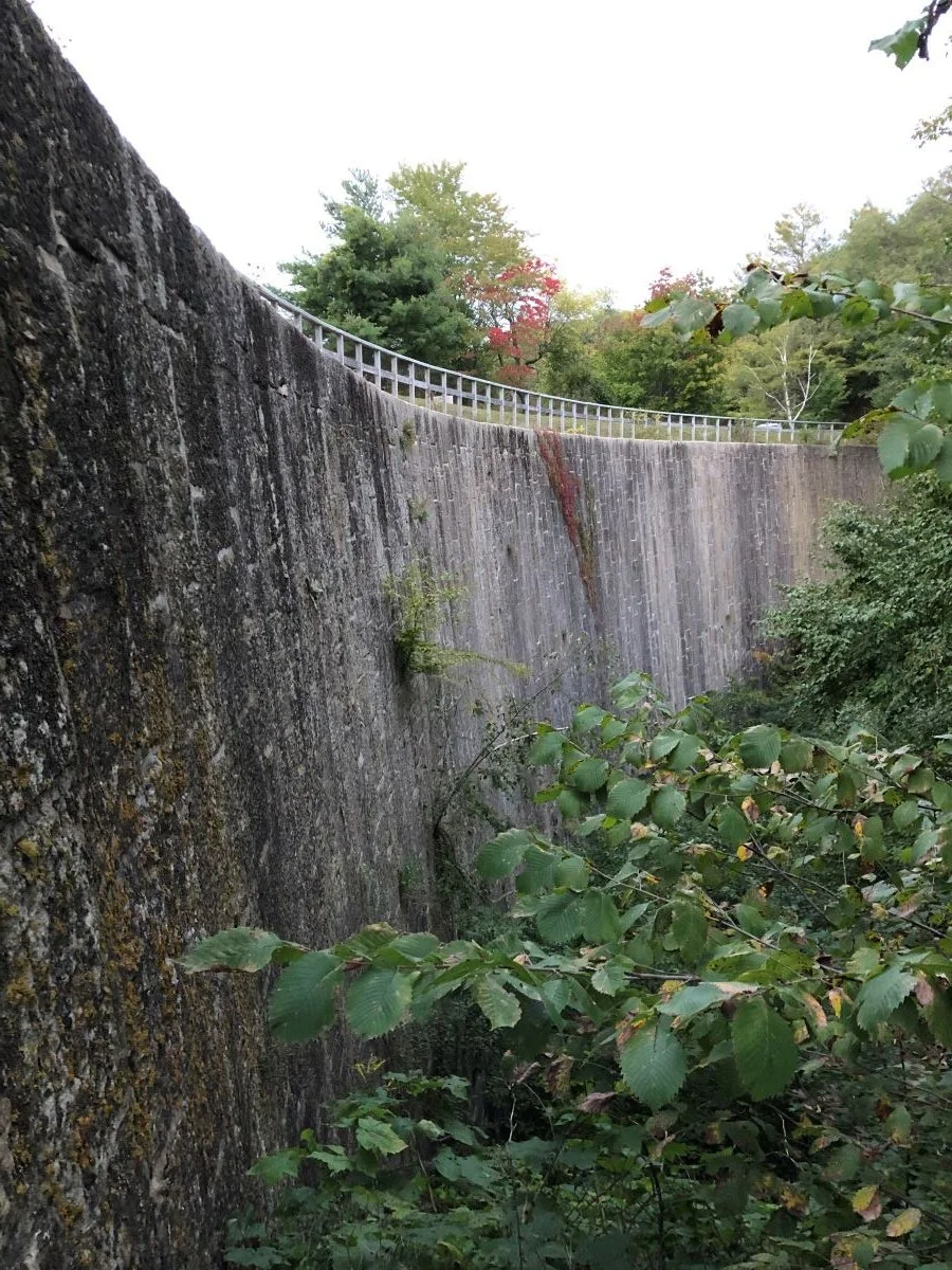 A large stoned arch dam wall surrounding Jones Falls.