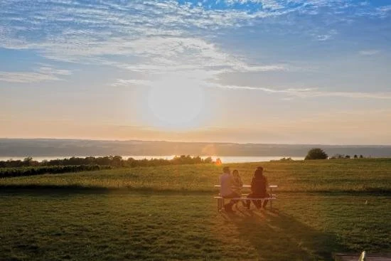 A group of friends sip wine on a picnic bench during sunset at Long Point Winery.