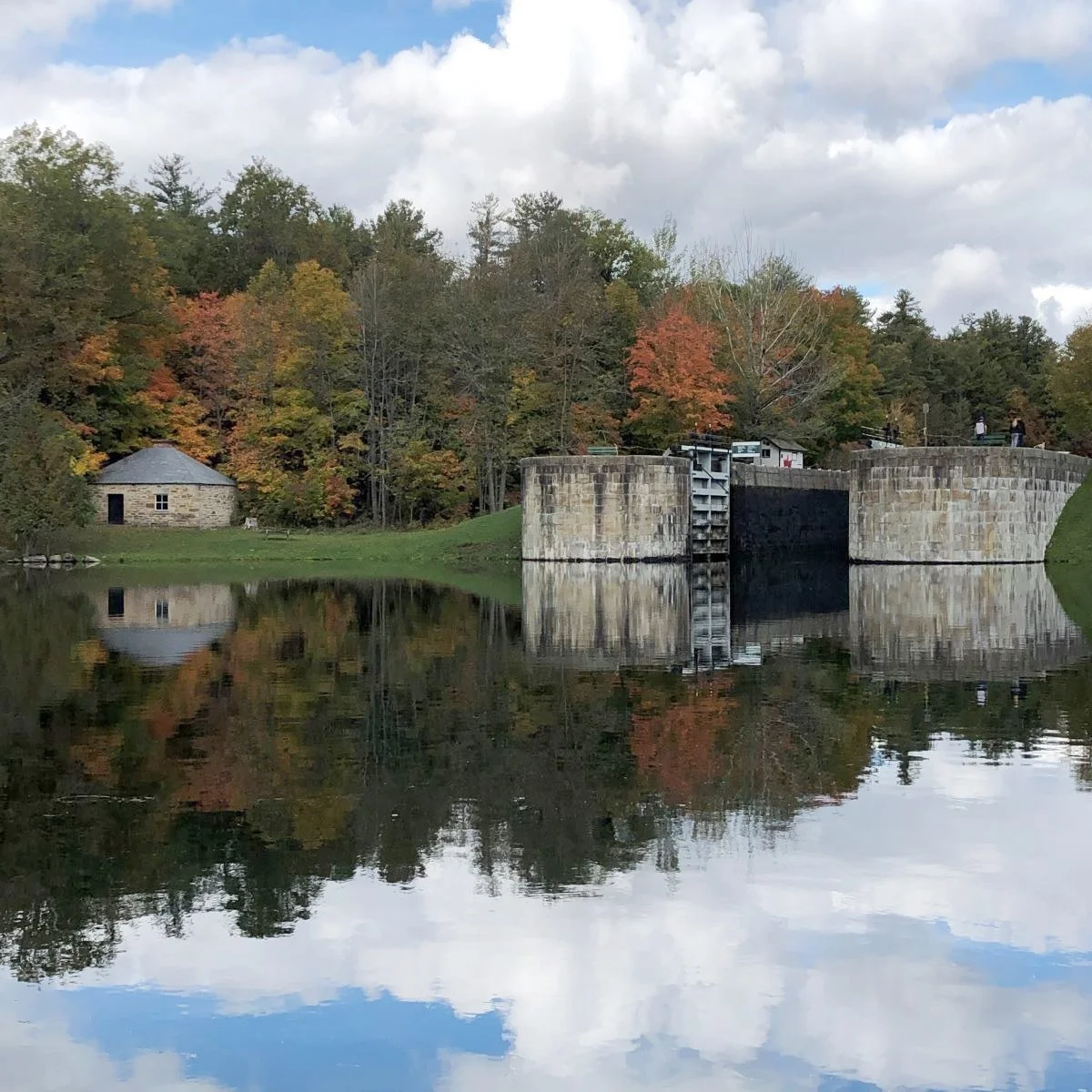 Green and red trees reflect in the water of Jones Falls.