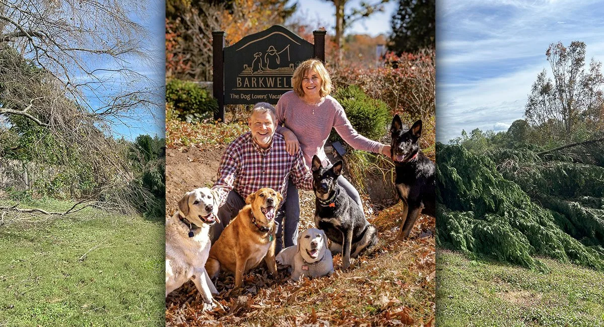 A man and a woman stand in front of the Barwells sign with 5 happy dogs.
