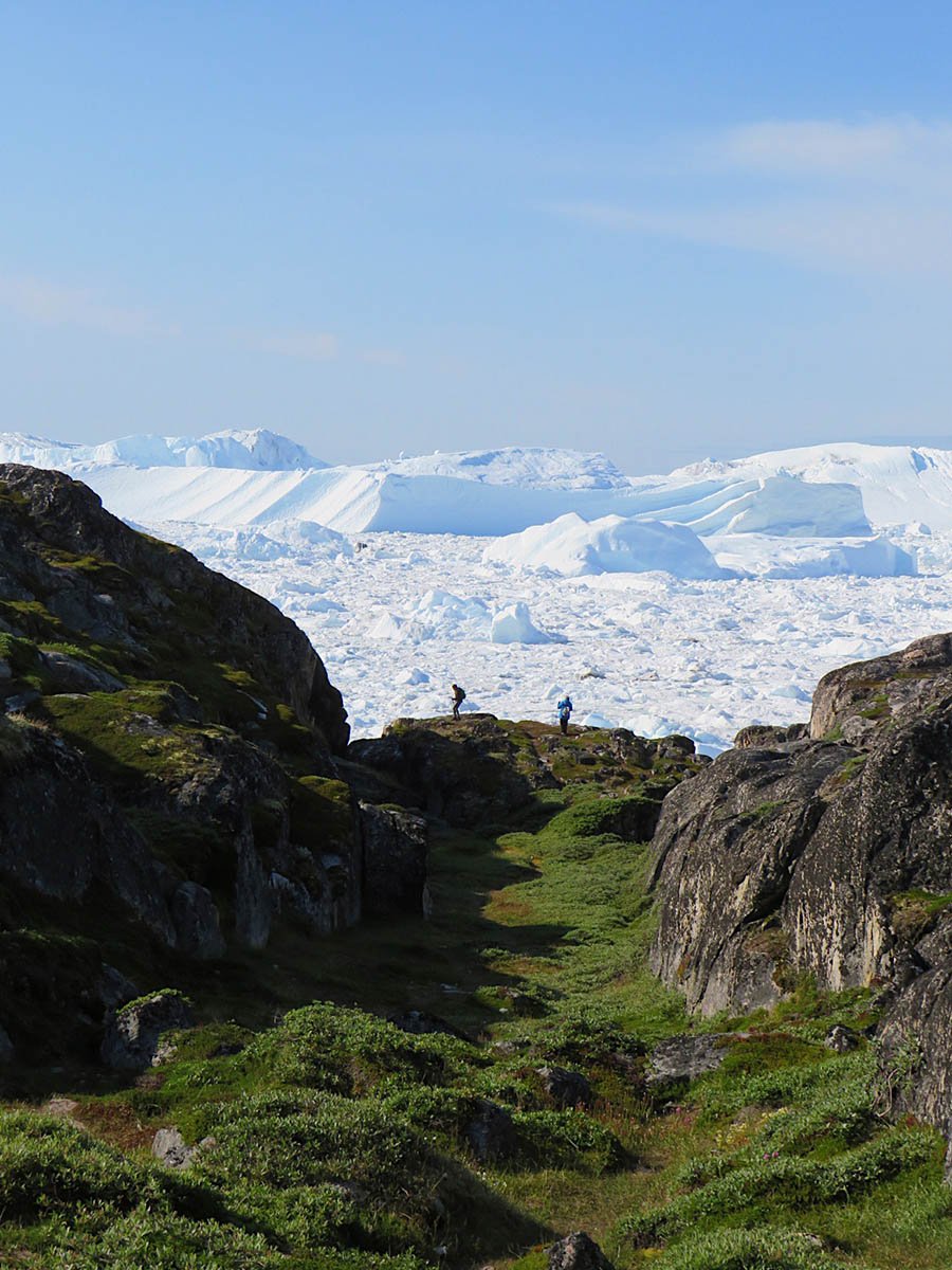 Two hikers explore the Iluslissat Icefjord on green grass surrounded by rocks.