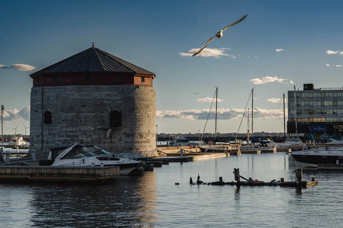 A bird swoops above a dock on water in Kingston, Ontario.