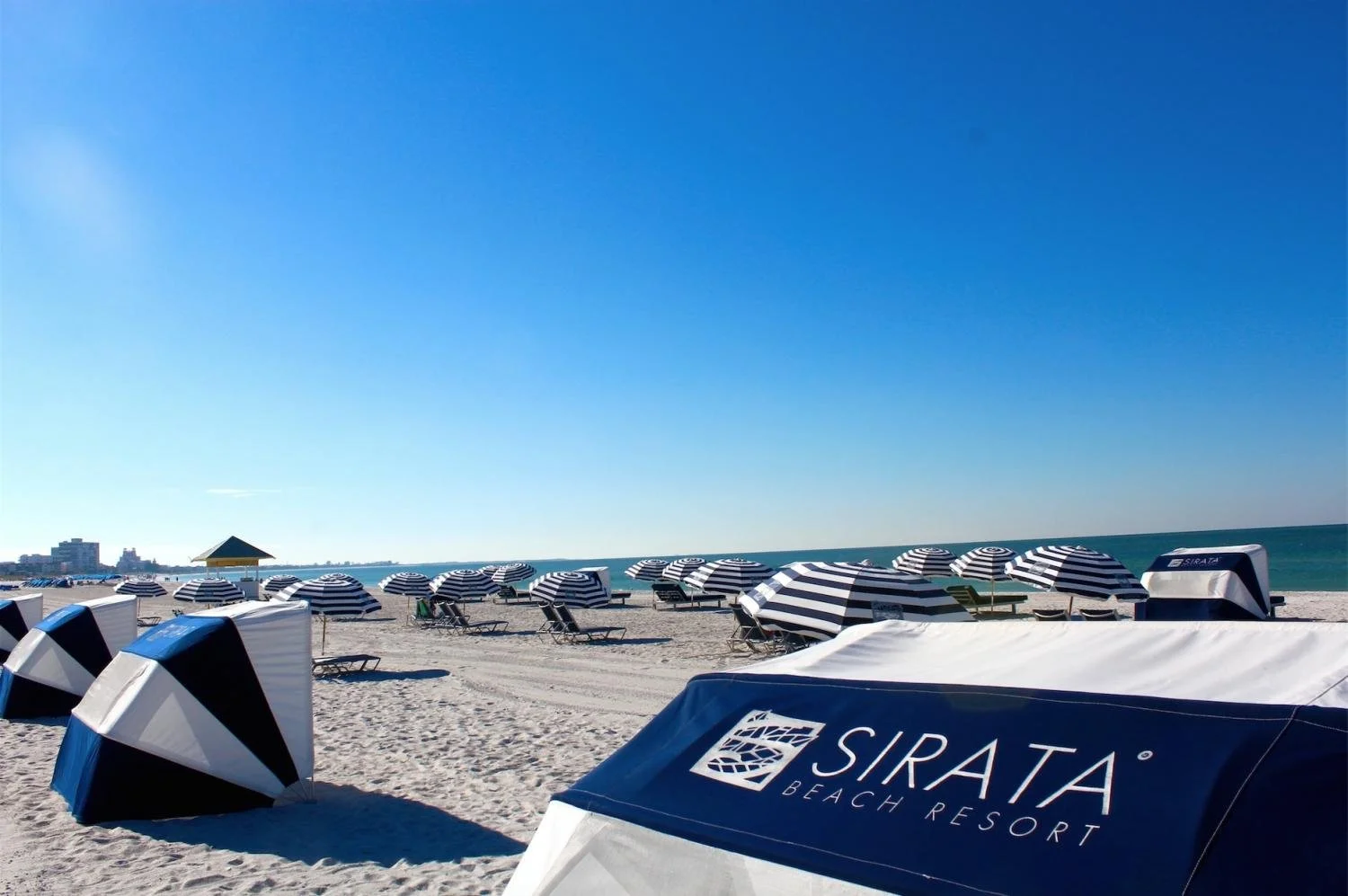 Blue and white striped umbrellas outside of Sirata Beach Resort in Clearwater, Florida.