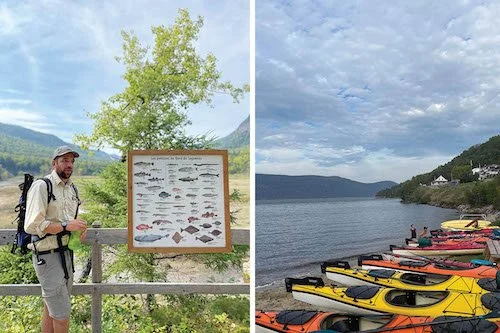 A group of colourful Kayaks along Tadoussac.
