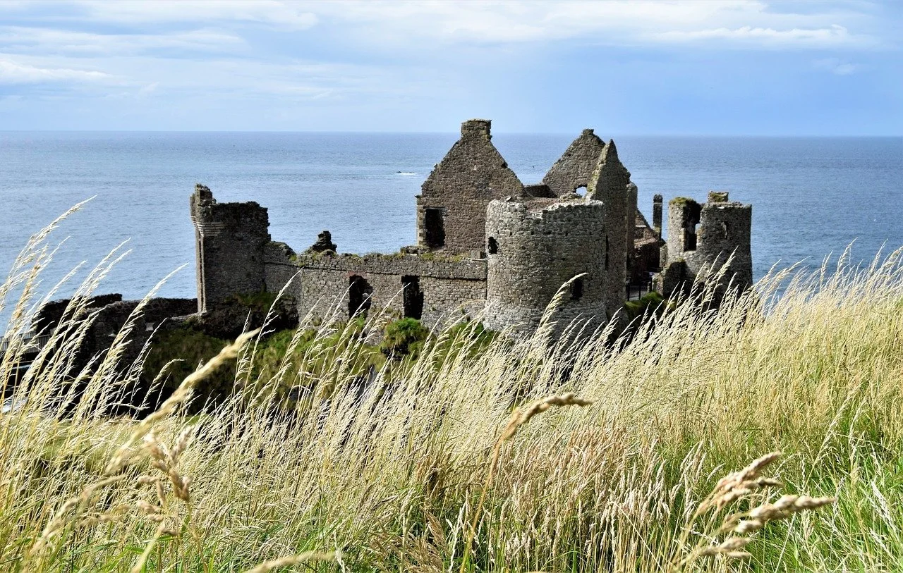 Tall, green grasses rustle in front of a castle along the Emerland Isles.