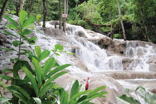 Dunn's River Falls cascades over calcium carbonate rocks.