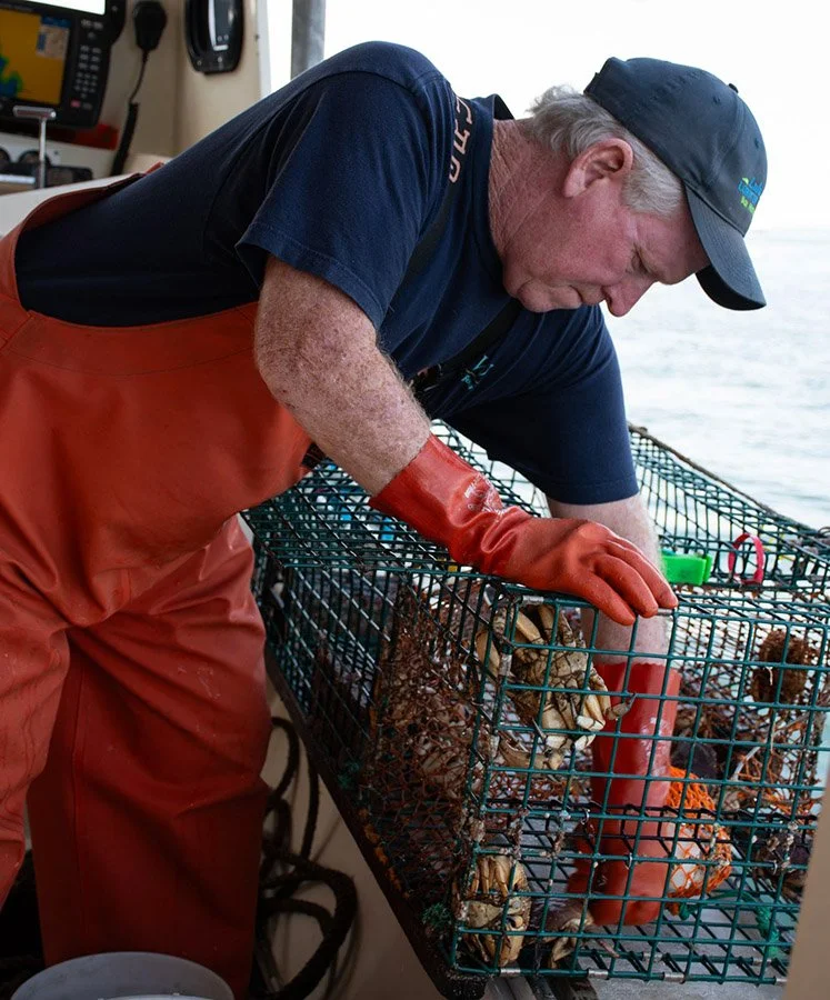 A fisherman fishes for lobster in Maine.