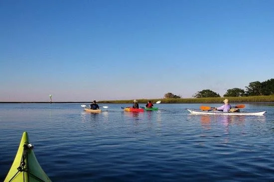 A group of tourists in hats kayak through the water near green marshes in Amelia Island.