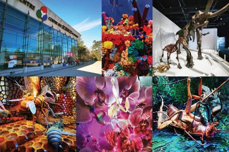 Flowers, bugs and dinosaurs from the Ontario Science Centre.