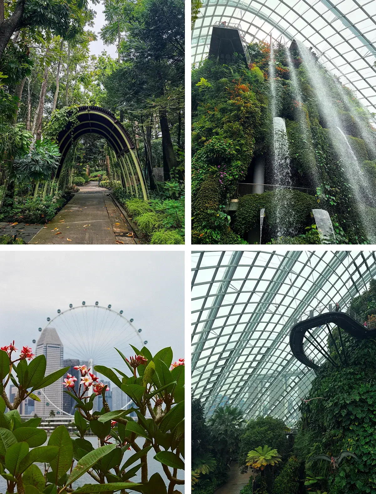 The lush green parthways and waterfalls of Gardens by the Bay.