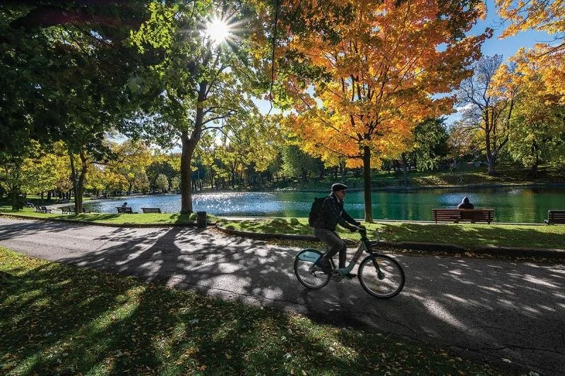 A man biking through Lafontaine Park on the east side of Montreal.