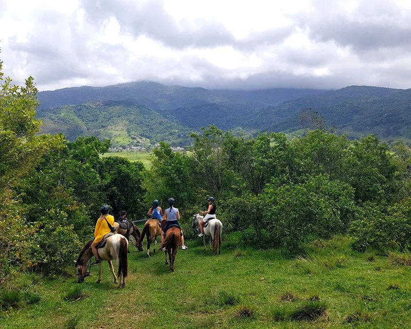 A horseback riding tour through Puerto Rico's countryside through Hacienda 8A.