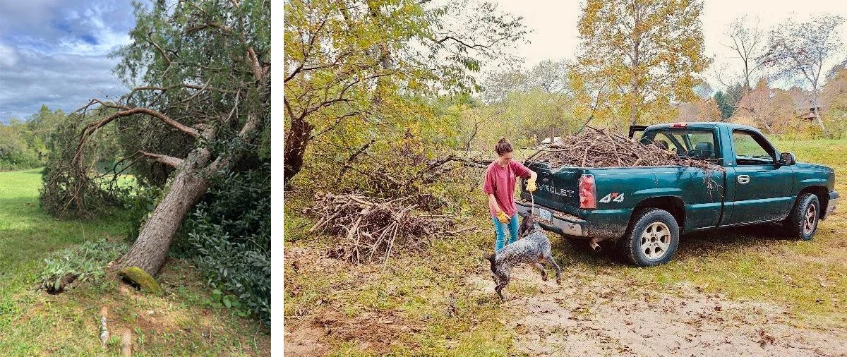 A woman gathers fallen branches on Barkwell's property after Hurricane Helene.