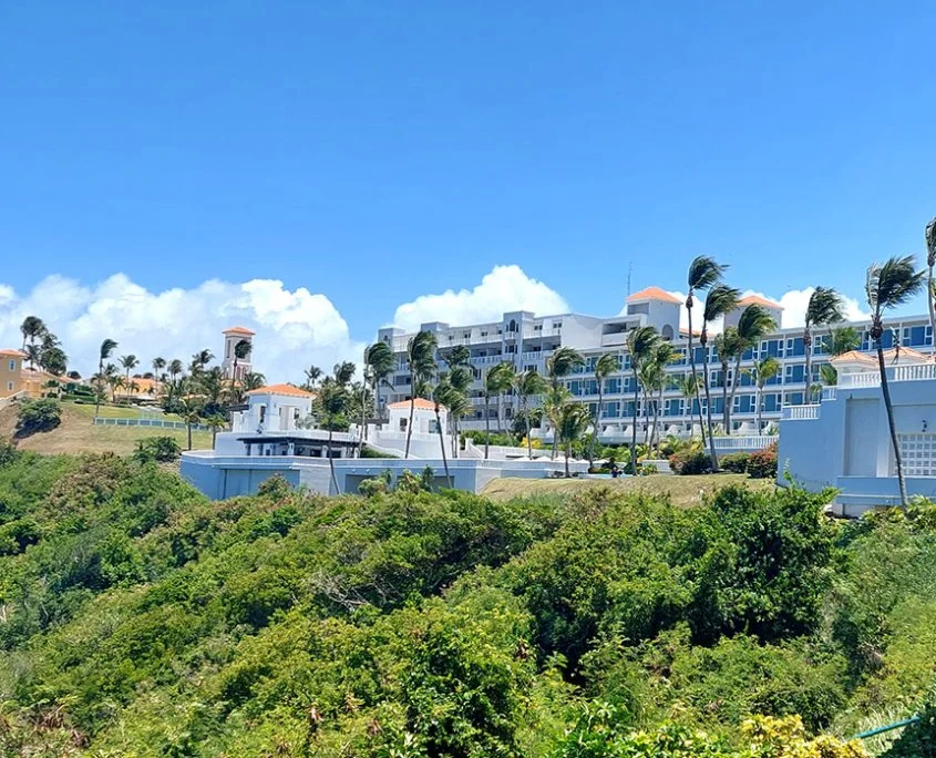 Wind blows palm trees outside of Conquistador Resort in Puerto Rico.