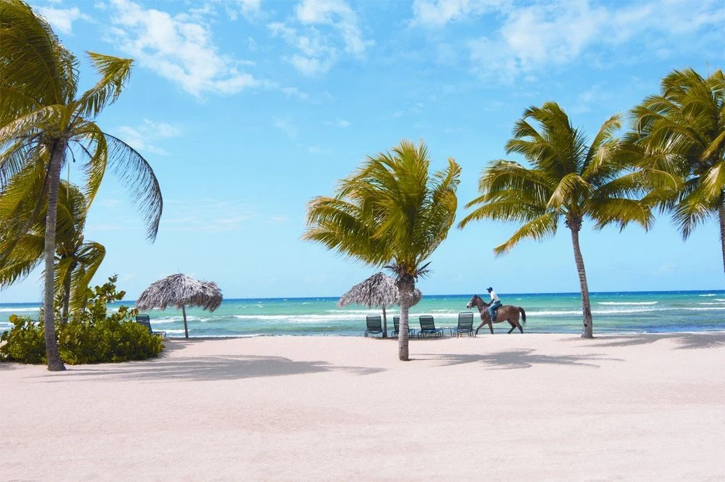 A man rides a horse along a white sand beach with palm trees and bright blue water around him.