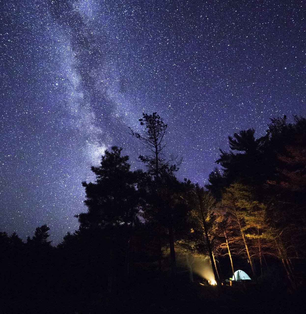 Stars glimmer in a night sky over Point Grondine National Park.