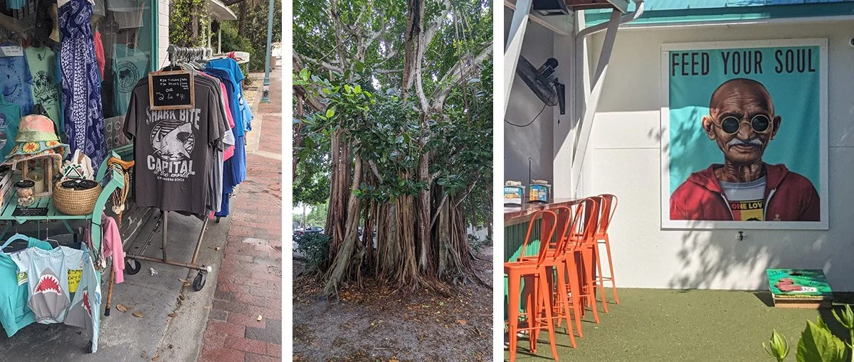 Clothes, quirky signs and cool trees at New Smyrna.