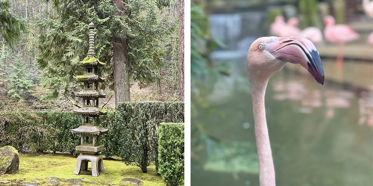 Fun sights at The Portland Japanese Garden.
