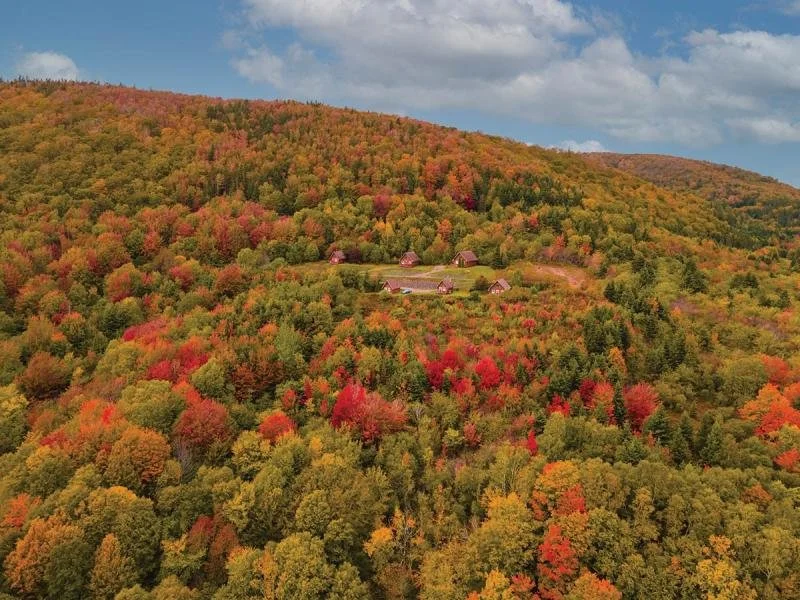 Mountain side cottages at Glenora Inn & Distillery during autumn.