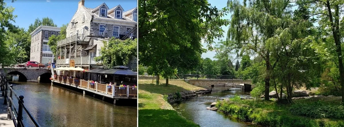 Green trees drape over Stewart Park.