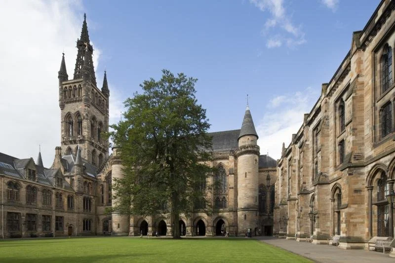 A floor-level view looking up past the grass towards the tall spires of the University of Glasgow.
