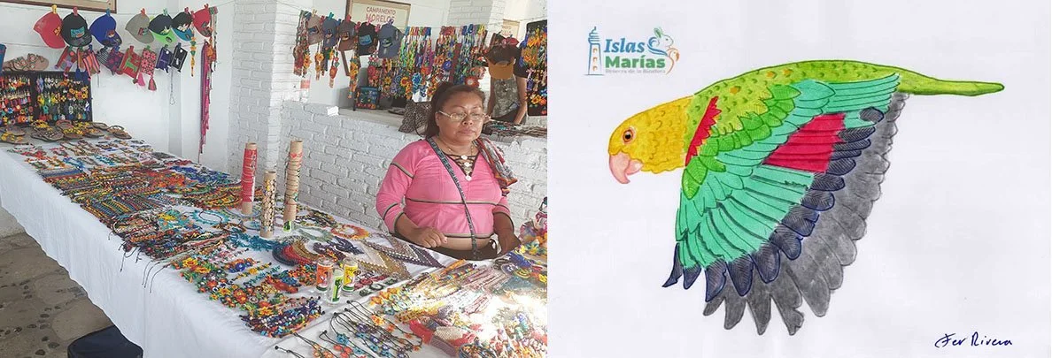 A woman in a pink shirt sells a variety of colorful bracelets on Islas Marias.
