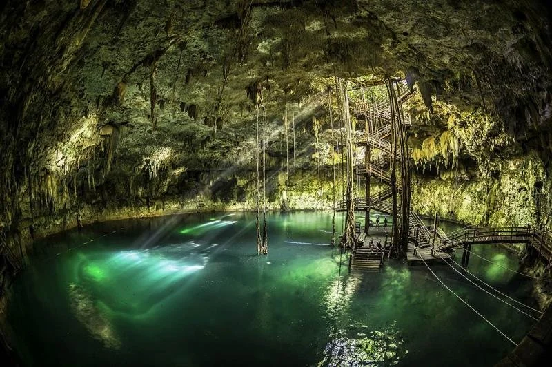 Light flickers through past a ladder down to a bright green cenote in Yucatan.