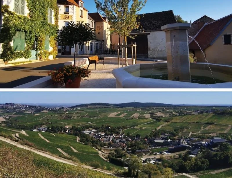 The tiny town of Chavignol (above and bottom right) is surrounded by vineyards.