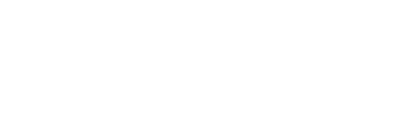 Vectora Technologies